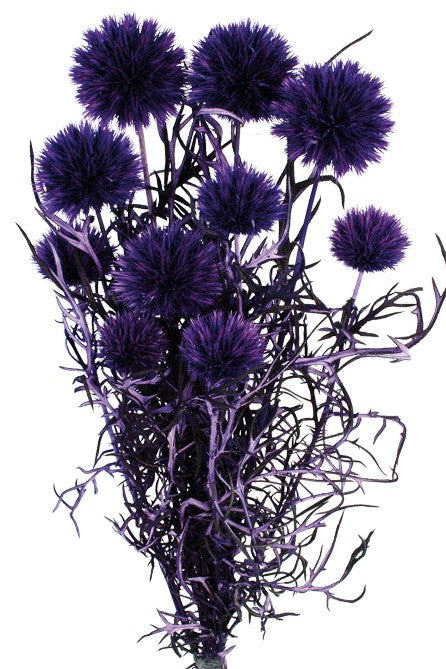 Preserved Echinops - Purple (10 pieces per pk)