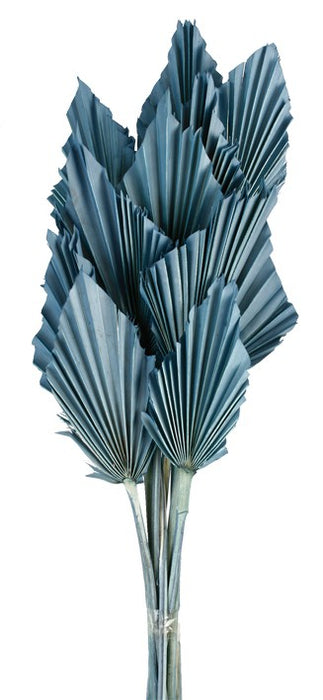 Palm Spear - Grey/Blue (10pcs per pk)