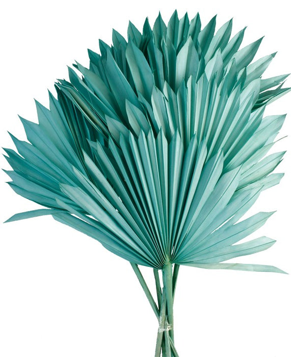 Sun Palm - Teal (6pcs per pk)