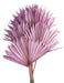 Sun Palm - Lilac (6pcs per pk)