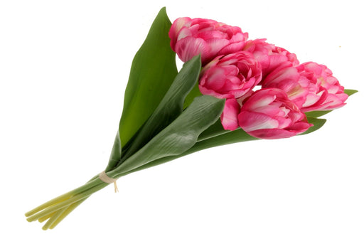 Bi-Coloured Double Tulip Bundle - Pink (6 heads, 40cm long)