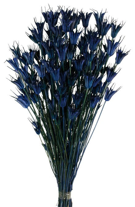 Nigella Orientalis - Dark Blue (100g per pk)