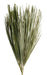 Rustic Palm Leaves - Natural (approx. 50/60cm long, 6pcs per pk)