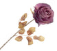 Single Autumn Rose - Purple (67cm long)