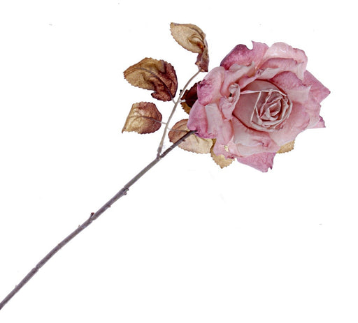 Single Rosa Autumn Rose - Pink (62cm long)