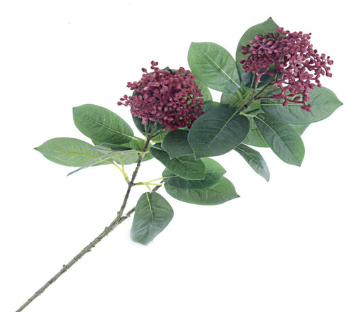 Skimmia Spray - Green/Red (70cm long)