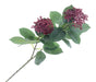 Skimmia Spray - Green/Red (70cm long)