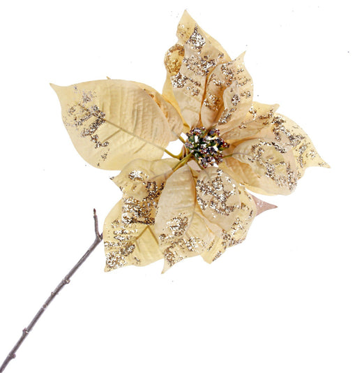 Single Glittered Poinsettia - Gold (25cm diameter, 53cm long)