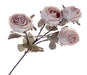 Dry Rose Spray - Cream (4 heads, 54cm long)