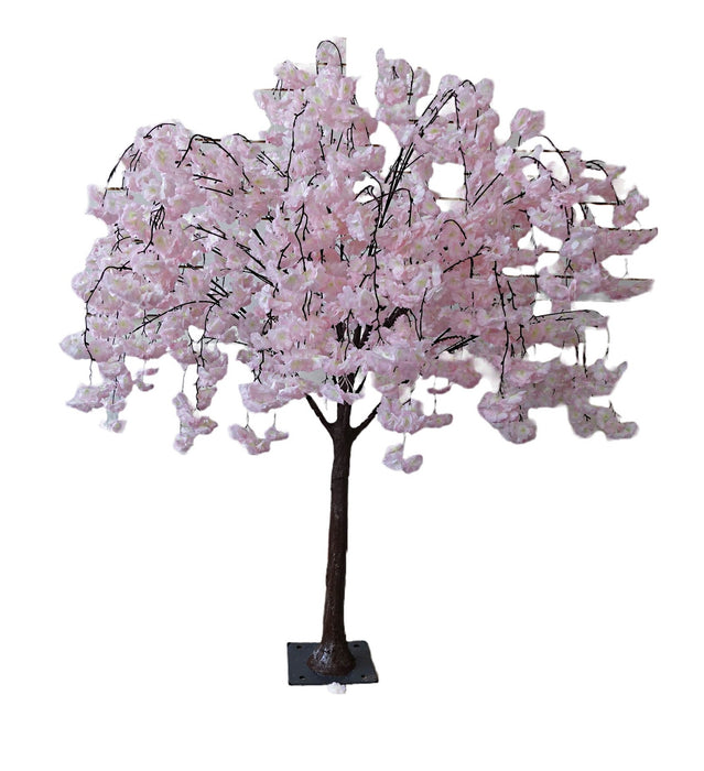 Trailing Cherry Blossom Tree - Pink/White (1.6m tall)