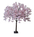 Trailing Cherry Blossom Tree - Pink/White (1.6m tall)