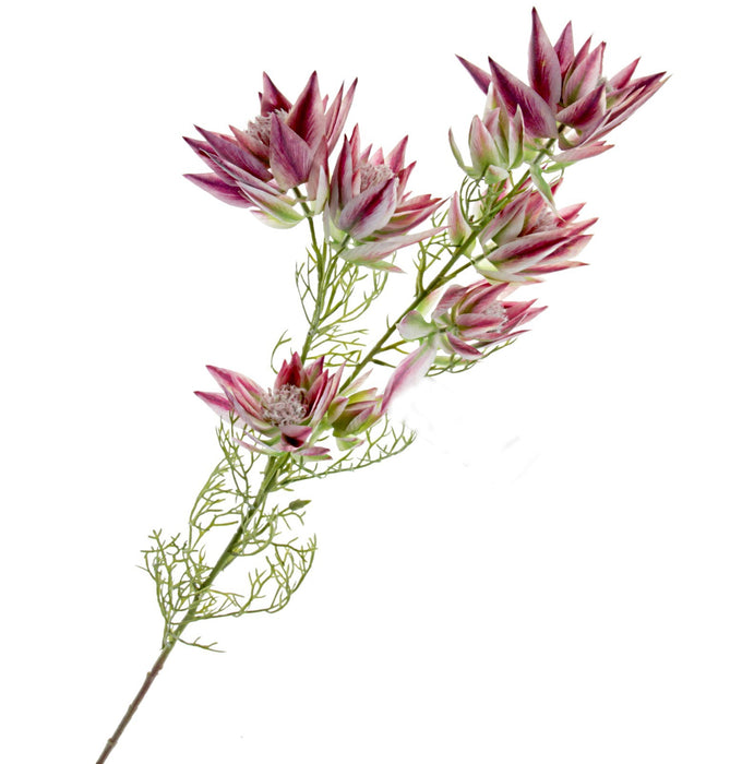 Artificial Leucadendron Spray - Purple/Green (9 heads, 68cm long)