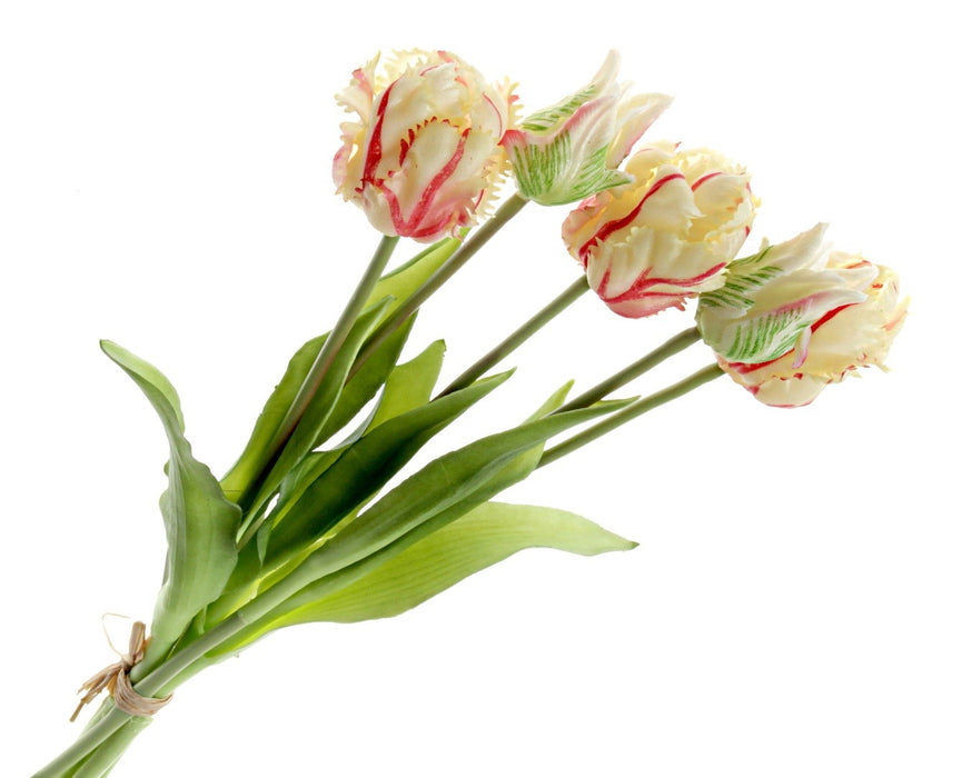 Real Touch Parrot Tulip Bundle  - Red/Cream/Green (5 stems, 40cm long)