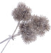 Glittered Echinops Bundle - Champagne (3 stems, 26cm long)