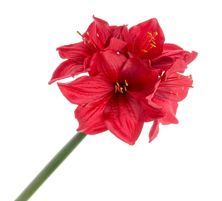 Single Amaryllis - Red (40cm long)