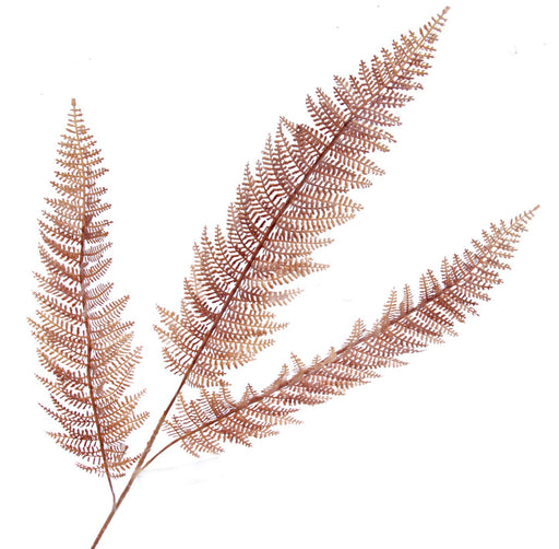 Single Fern Spray - Brown (104cm long)