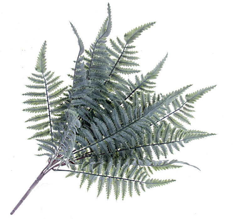 Frosty Leather Fern - Green/Grey (47cm long)