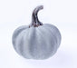 Mini Rumbo Pumpkin - White/Blue (11cm x 13cm)